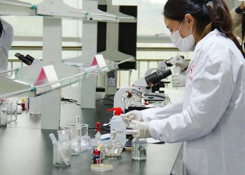 技能比武顯身手，舌尖安全共守護(hù)——平陰縣成功舉辦第四屆職業(yè)技能大賽農(nóng)產(chǎn)品食品檢驗(yàn)員競(jìng)賽